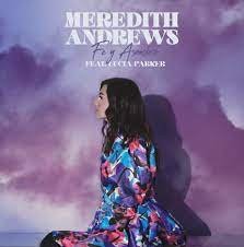 A Million Saints  -  Meredith Andrews