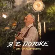 Я в потоке - Виктор Лавриненко